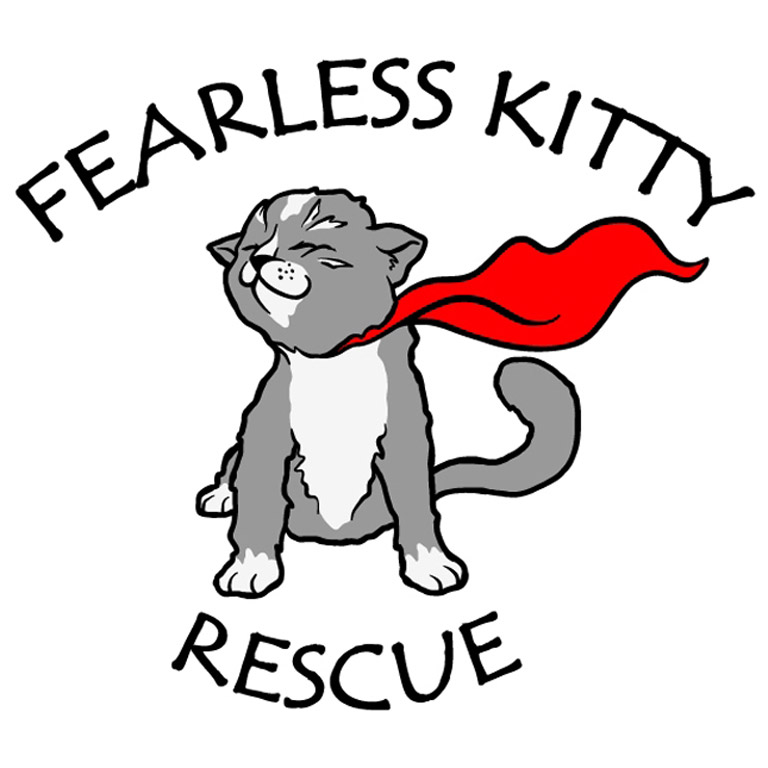 partner-fearless-kitty